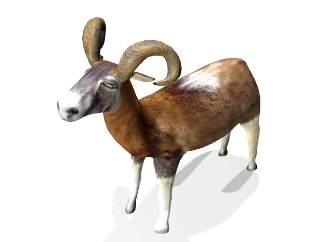 ram 3D Model .c4d .max .obj .3ds .fbx .stl .blend 