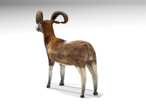 ram 3D मॉडल