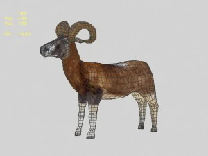 ram 3D Model