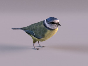 nightingale 3D Model