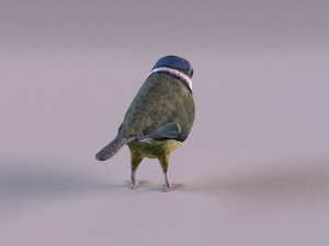 nightingale 3D Model