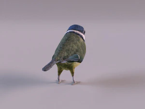 nightingale 3D Model