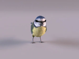 nightingale 3D Model