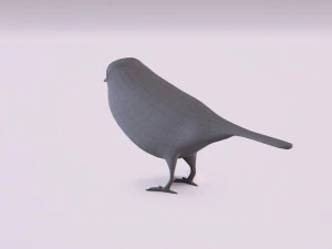 nightingale 3D Model