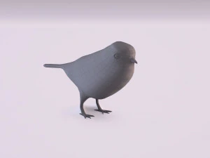 nightingale 3D Model