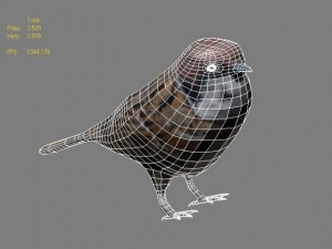 sparrow bird Modelo 3D