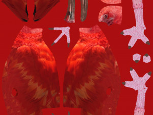 red ibis 3D Model