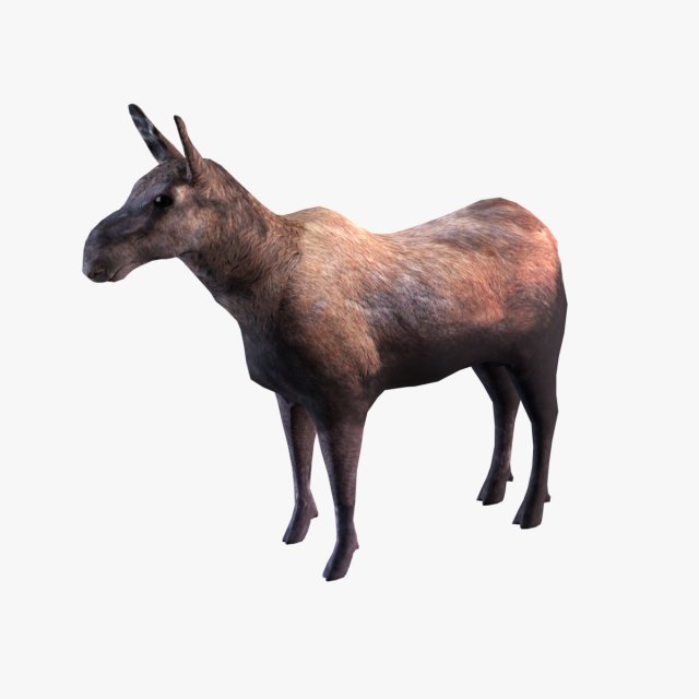 Moose 3D 모델 .c4d .max .obj .3ds .fbx .stl .blend 