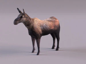 &Eacute;lan Modèle 3D