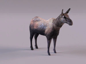 &Eacute;lan Modèle 3D