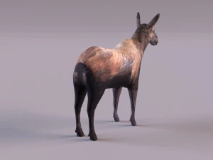 &Eacute;lan Modèle 3D