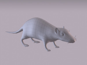 Brown Rat Modelo 3D