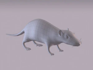 Tikus Coklat Model 3D
