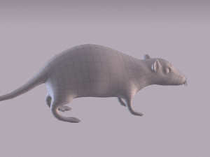 Brown Rat Modelo 3D