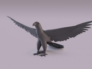 Bald eagle Model 3D