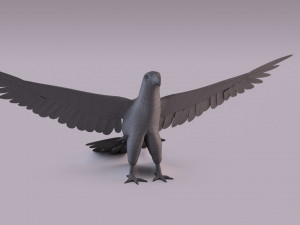 Bald eagle Model 3D