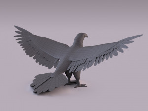 Bald eagle Model 3D