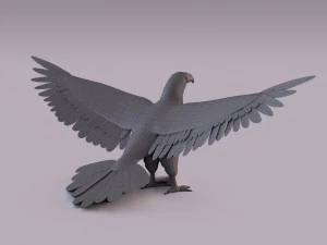 秃鹰 3D 模型