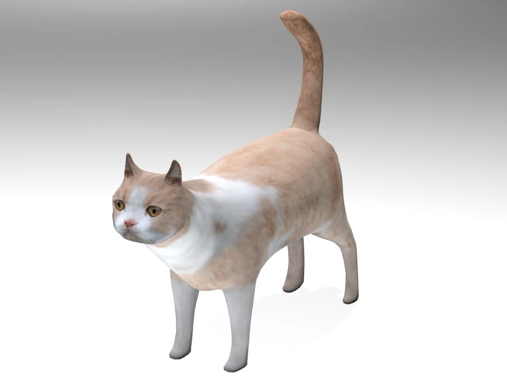 cat 3D Model .c4d .max .obj .3ds .fbx .stl .blend 