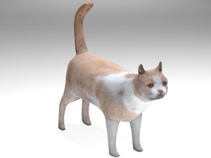 cat Modelo 3D
