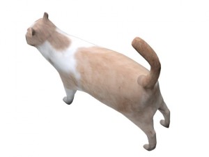 cat Modelo 3D