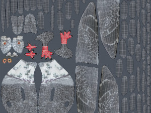 Pigeon 3Dモデル