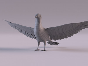 Pigeon 3Dモデル