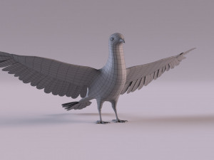 Pigeon 3Dモデル
