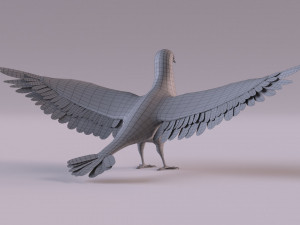 Pigeon 3Dモデル