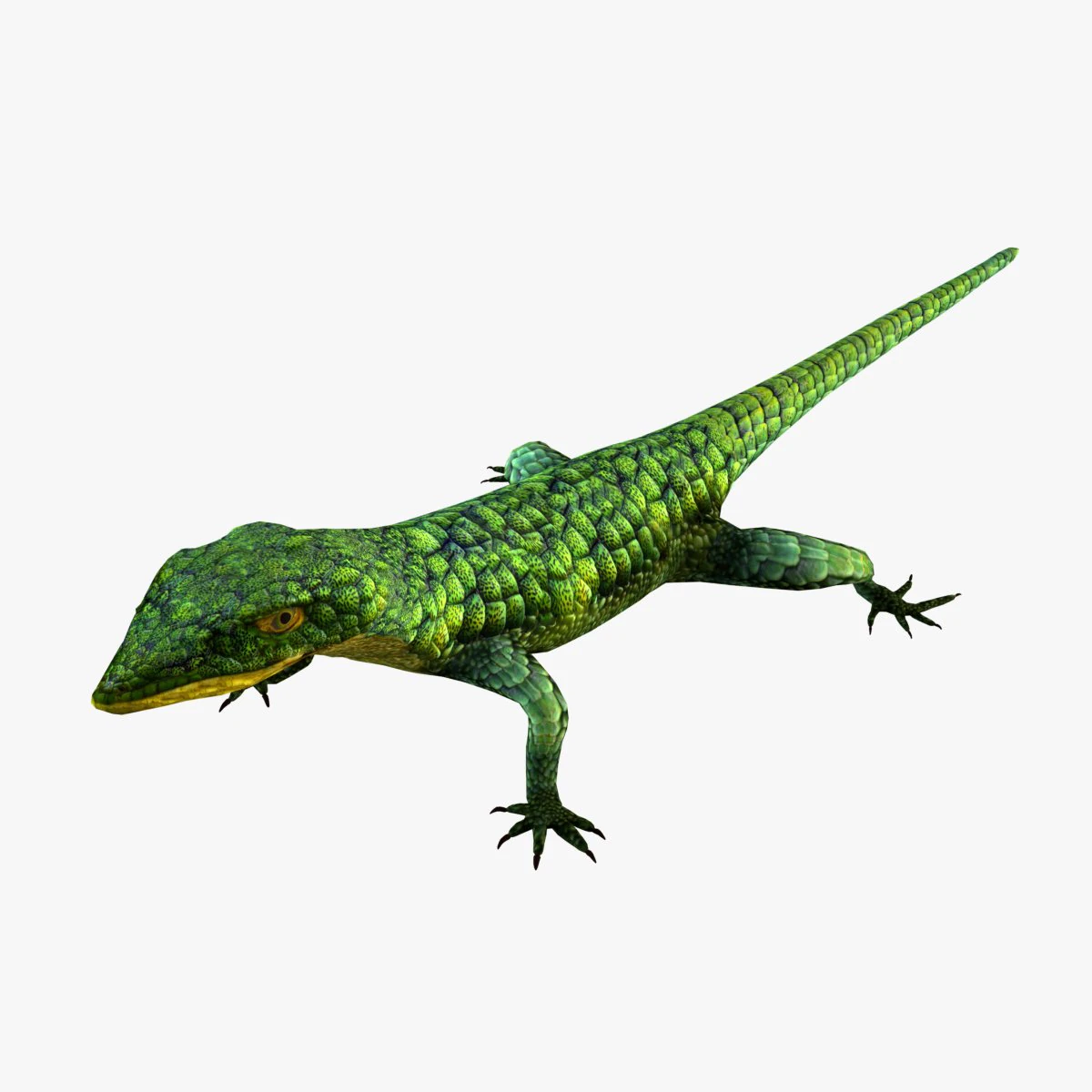Mexican alligator lizard 3D Model .c4d .max .obj .3ds .fbx .stl .blend 