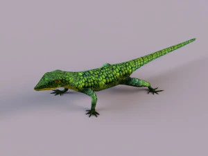 Mexican alligator lizard 3D Model