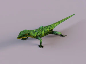 Mexican alligator lizard 3D Model