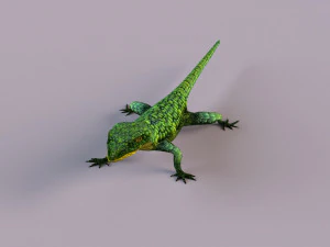 Mexican alligator lizard 3D Model