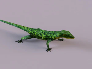 Mexican alligator lizard 3D Model