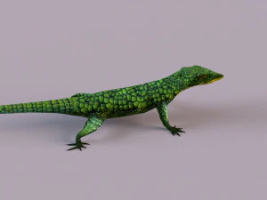 Mexican alligator lizard 3D Model