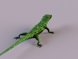 Mexican alligator lizard Modelo 3D