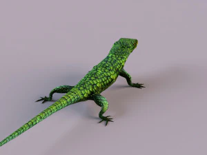 Mexican alligator lizard 3D Model