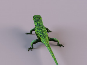 Mexican alligator lizard Modelo 3D