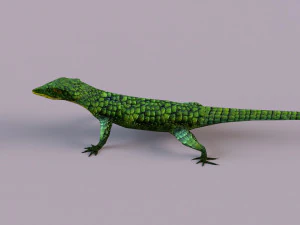 Mexican alligator lizard 3D Model