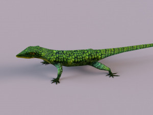 Mexican alligator lizard Modelo 3D