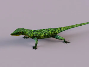 Mexican alligator lizard 3D Model