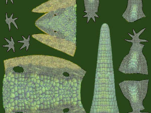 Mexican alligator lizard 3D Model
