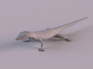Mexican alligator lizard 3D Model