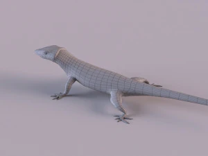 Mexican alligator lizard 3D Model