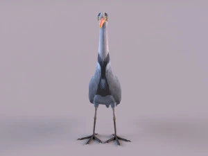 Grey Heron 3D Model