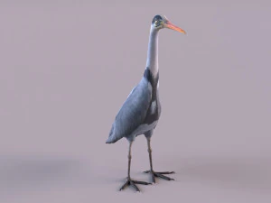 Grey Heron 3D Model