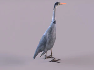 Grey Heron 3D Model