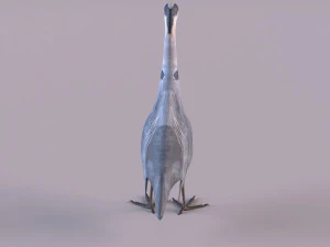 Grey Heron 3D Model