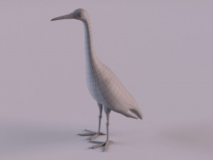 Grey Heron 3D Model
