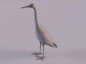 Grey Heron 3D Model